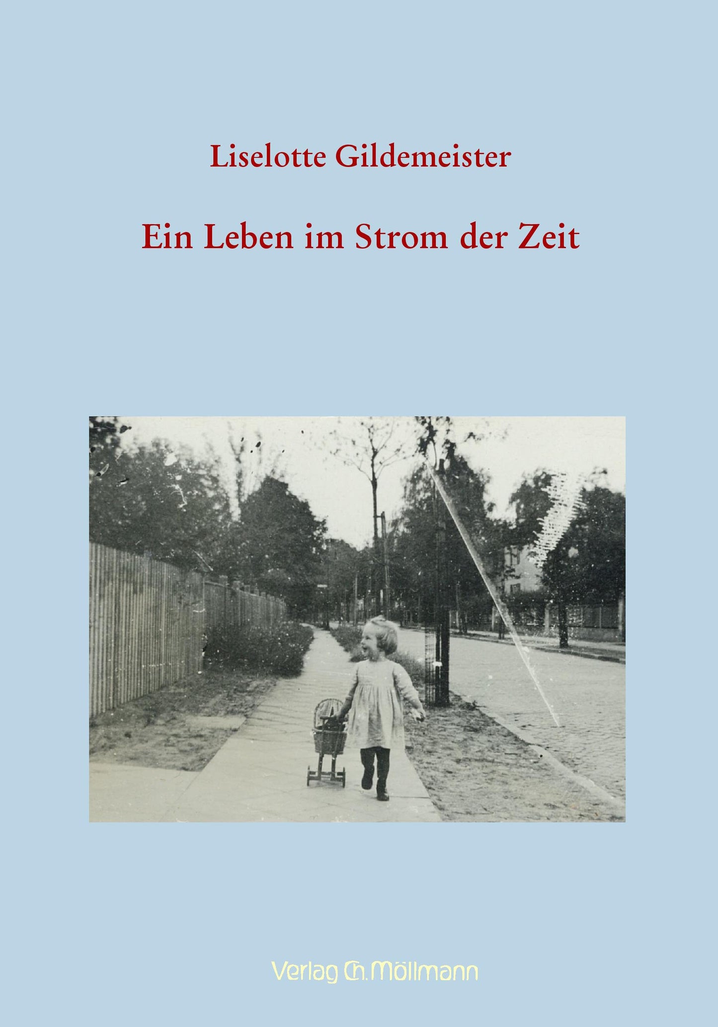 Gildemeister: Ein Leben im Strom der Zeit